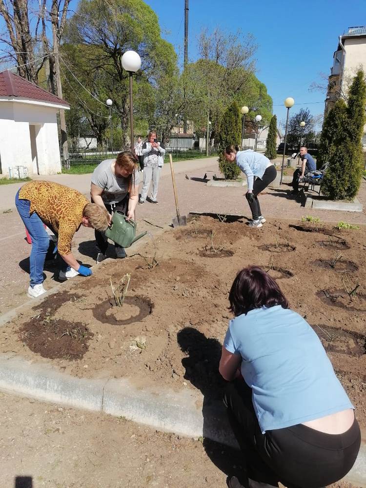 17.05.2024г. Силами коллектива Администрации Угловского городского поселения произведена посадка роз.