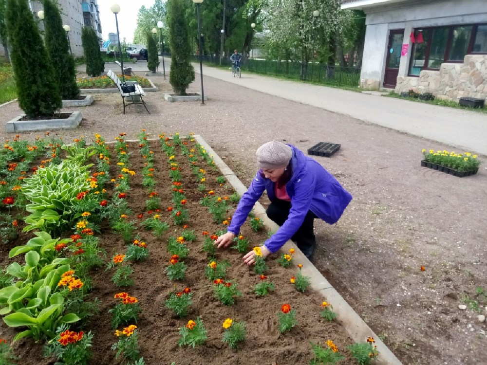 03.06.2022 года силами коллектива Администрации Угловского городского поселения произведена посадка цветов в клумбы на Центральной аллее парка п.Угловка..