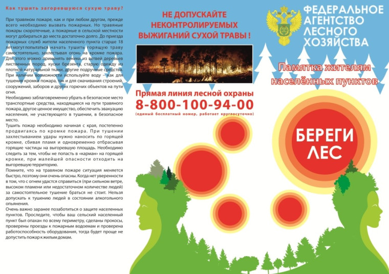 Берегите лес от пожара. Берегите лес от пожара.