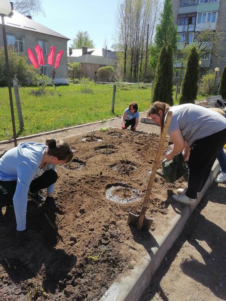 17.05.2024г. Силами коллектива Администрации Угловского городского поселения произведена посадка роз.